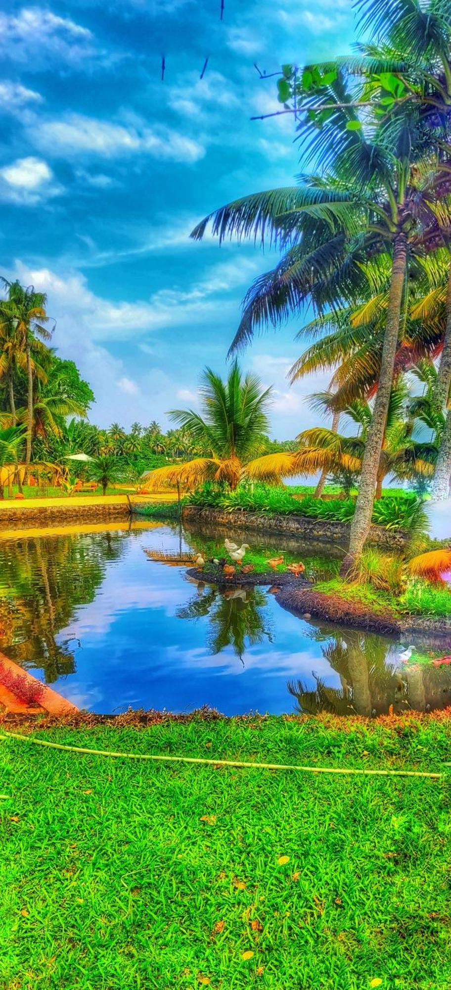 Ameya Kerala Hotel *