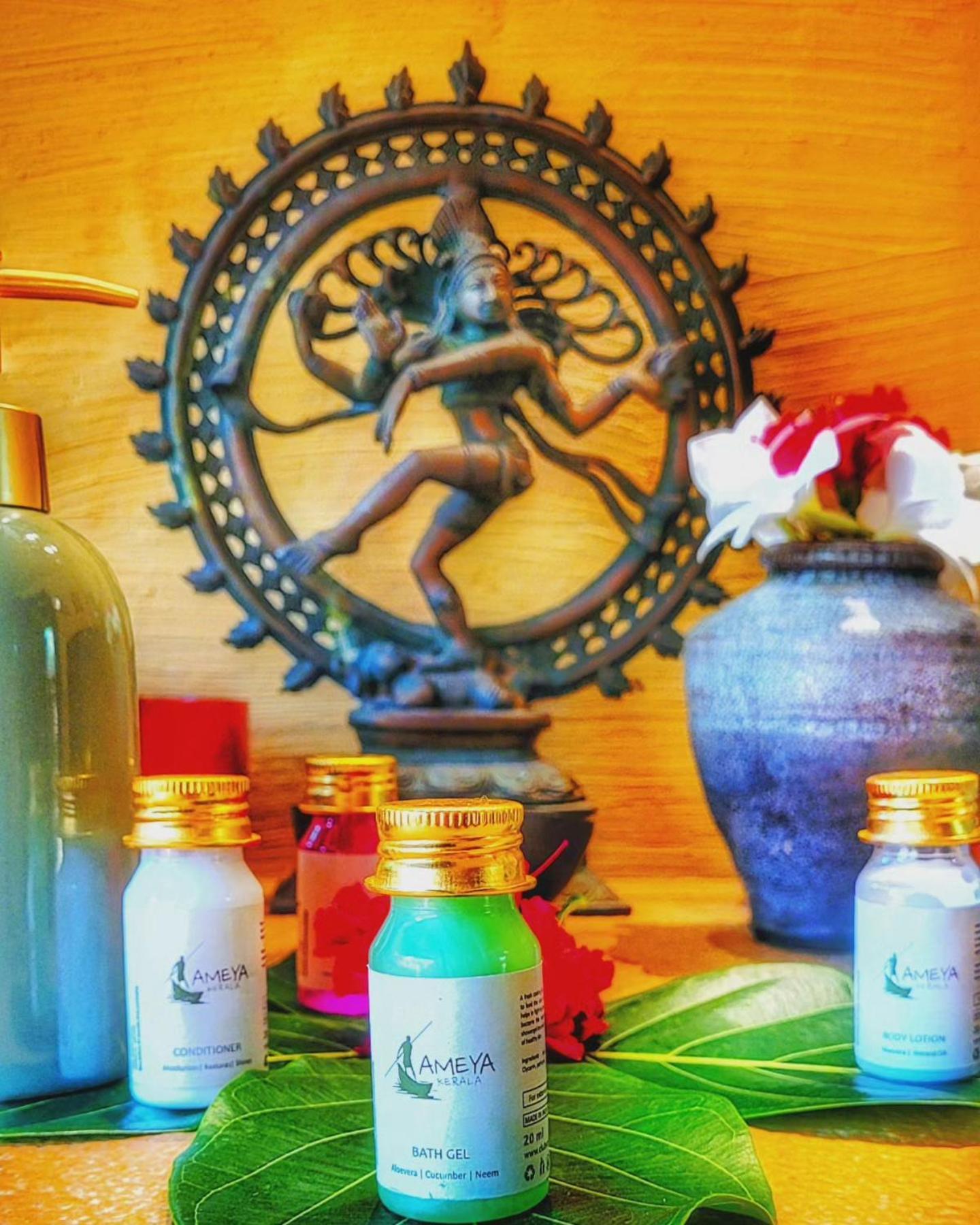 Hotel Ameya Kerala *