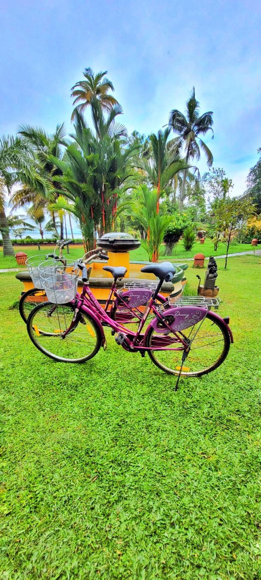 Ameya Kerala * Alappuzha