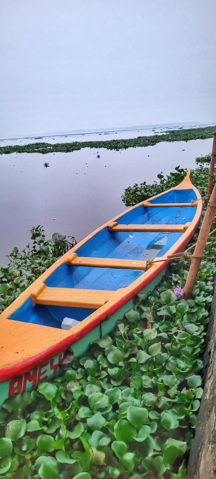 Ameya Kerala होटल