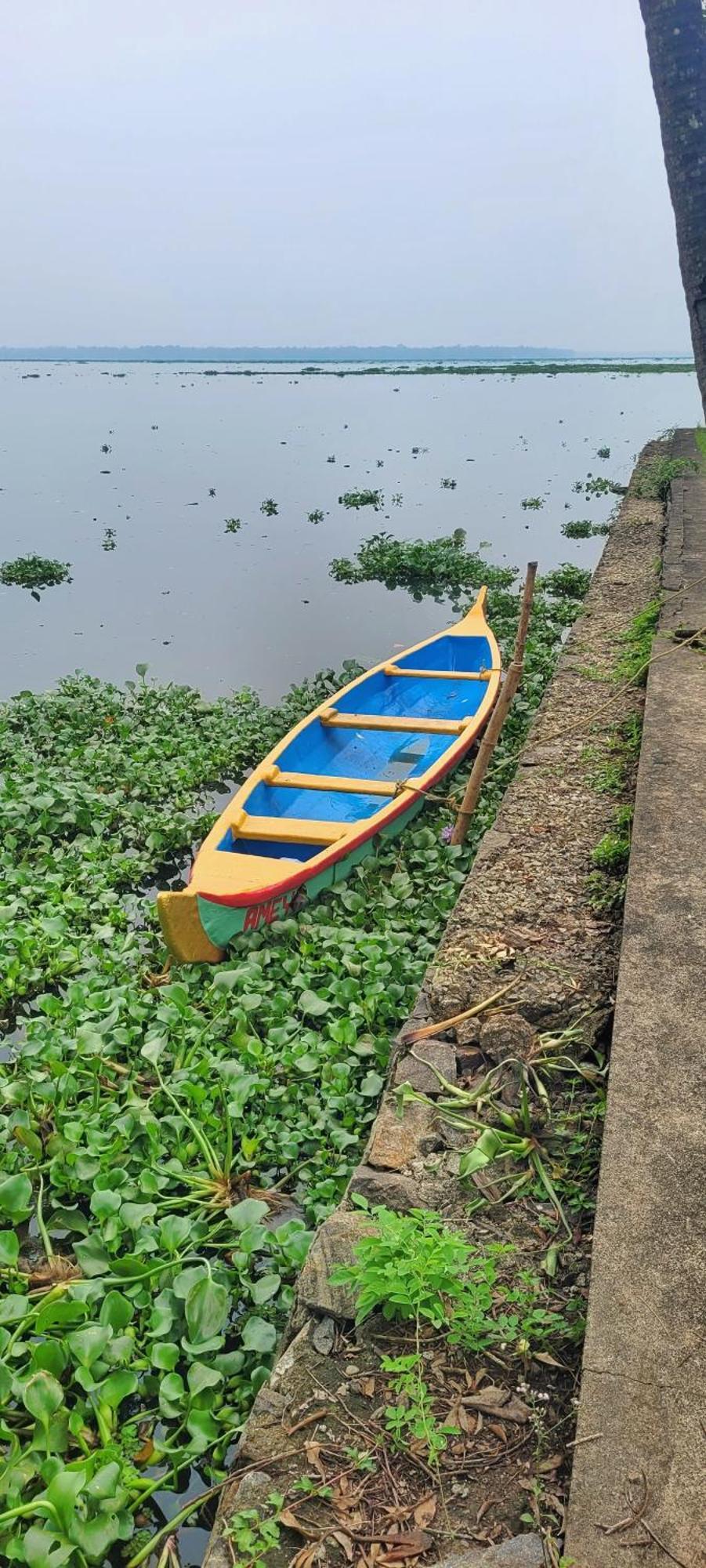Ameya Kerala होटल Alappuzha